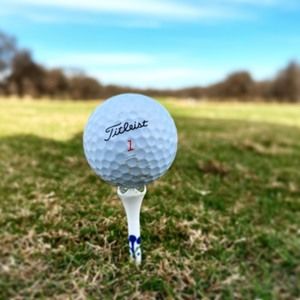 Meet your Posher, Nic